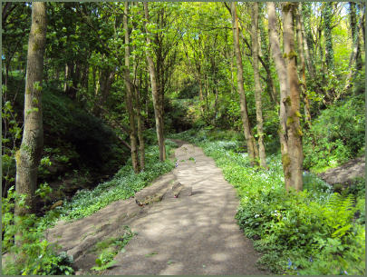 Fairy Glen, Appley Bridge